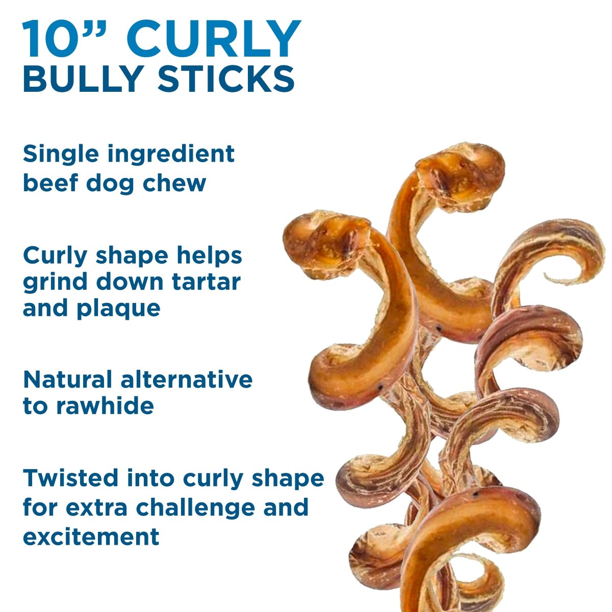 Best Bully Sticks 10-Inch Curly Bully Stick is a natural, single-ingredient beef dog chew with a twisted shape—an excellent rawhide alternative that supports dental health.