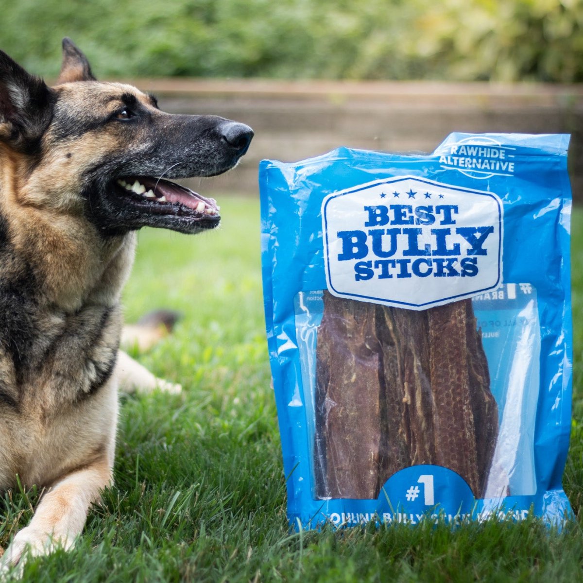 dog with best bully sticks 11-12&quot; beef jerky gullet strips