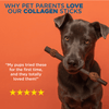 Why pet parents love our Best Bully Sticks 12 Inch Collagen Kabob.
