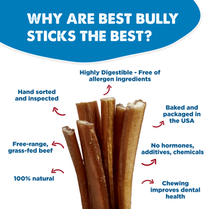 12 Inch Standard Bully Stick Best Bully Sticks