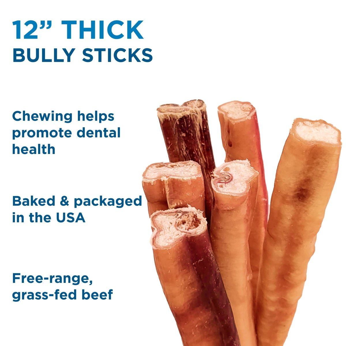 Six upright 12-Inch Thick Bully Sticks by Best Bully Sticks highlight dental health benefits. Made in the USA from natural, free-range, grass-fed beef, these dog chews help support your pet’s well-being.