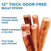 12-Inch Thick Odor-Free Bully Stick