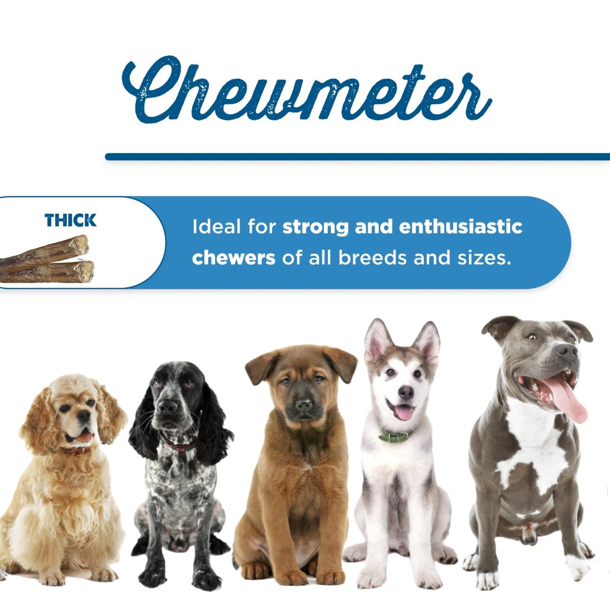 Best Bully Sticks - for dogs of all breeds and sizes.