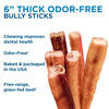 6 Best Bully Sticks&#39; 6-Inch Thick Odor-Free Bully Sticks.