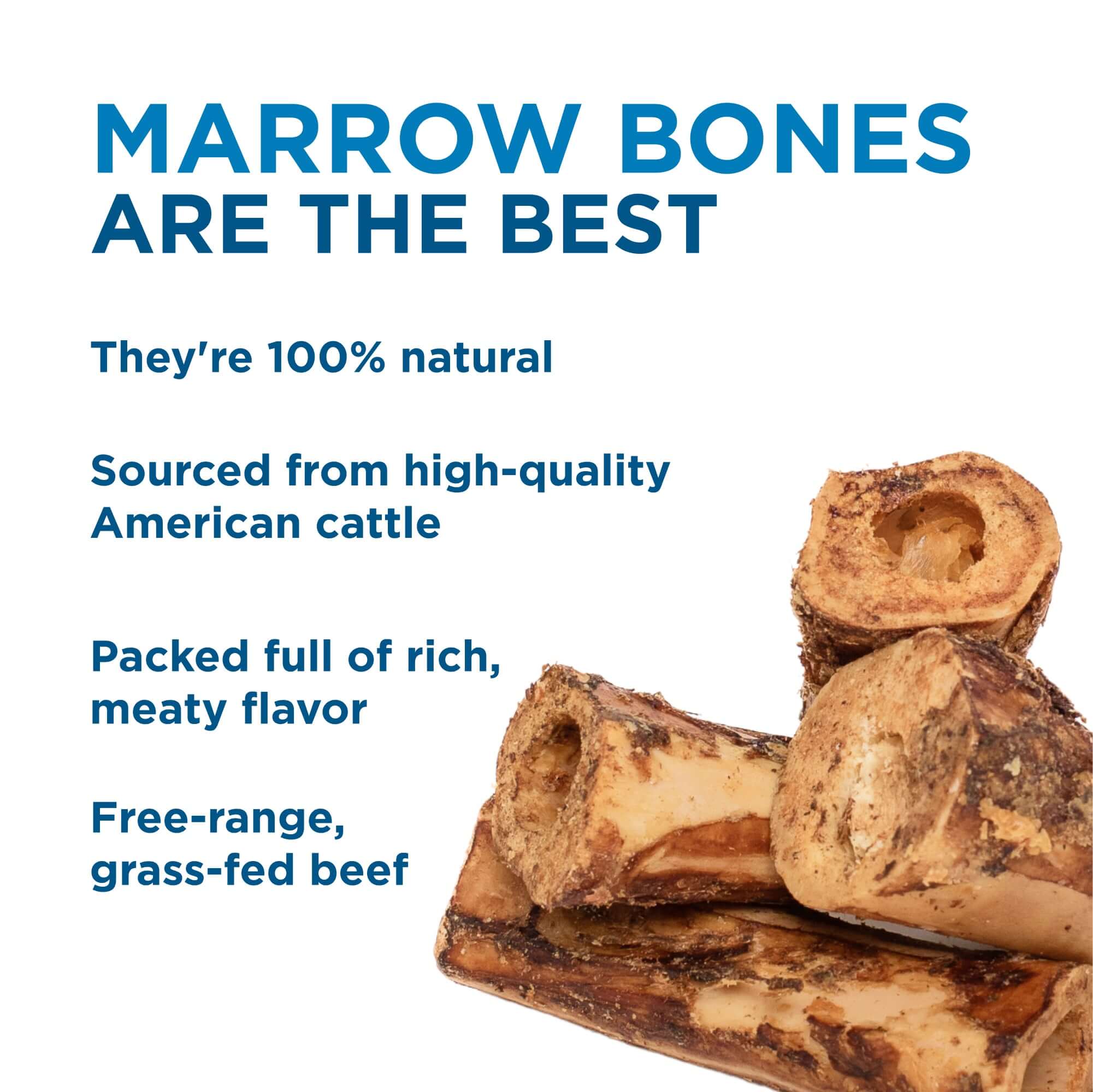 Usa-Made Large Marrow Bone | Best Bully Sticks
