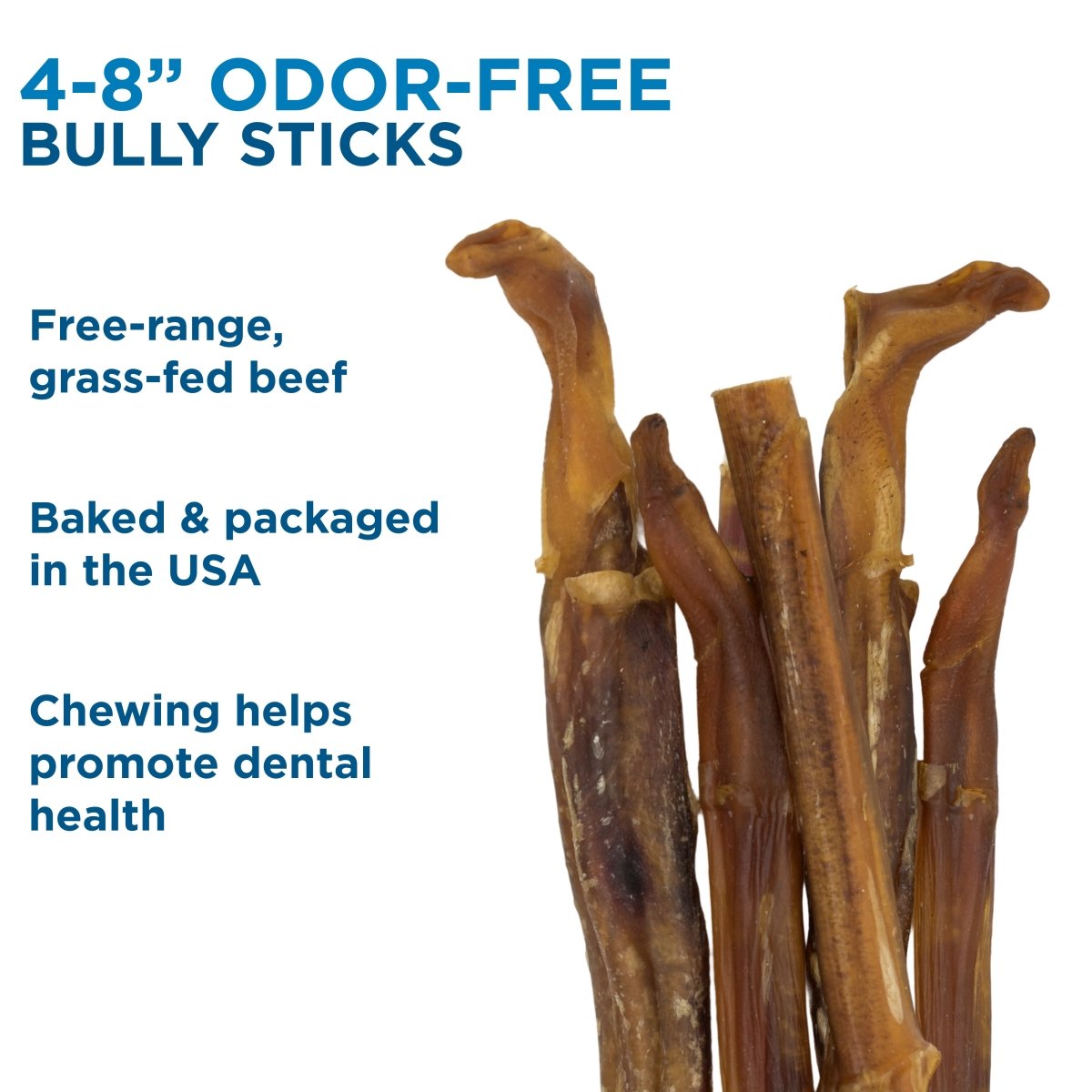 Several 4-8 Inch Odor-Free Bully Sticks from Best Bully Sticks stand upright; made in the USA from free-range, grass-fed beef, they&#39;re perfect for small breeds and help promote dental health.