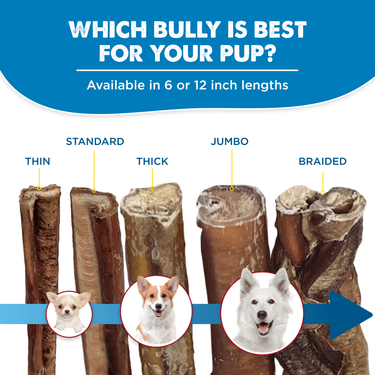 6 Inch Odor Free Bully Sticks 5 Pack Best Bully Sticks