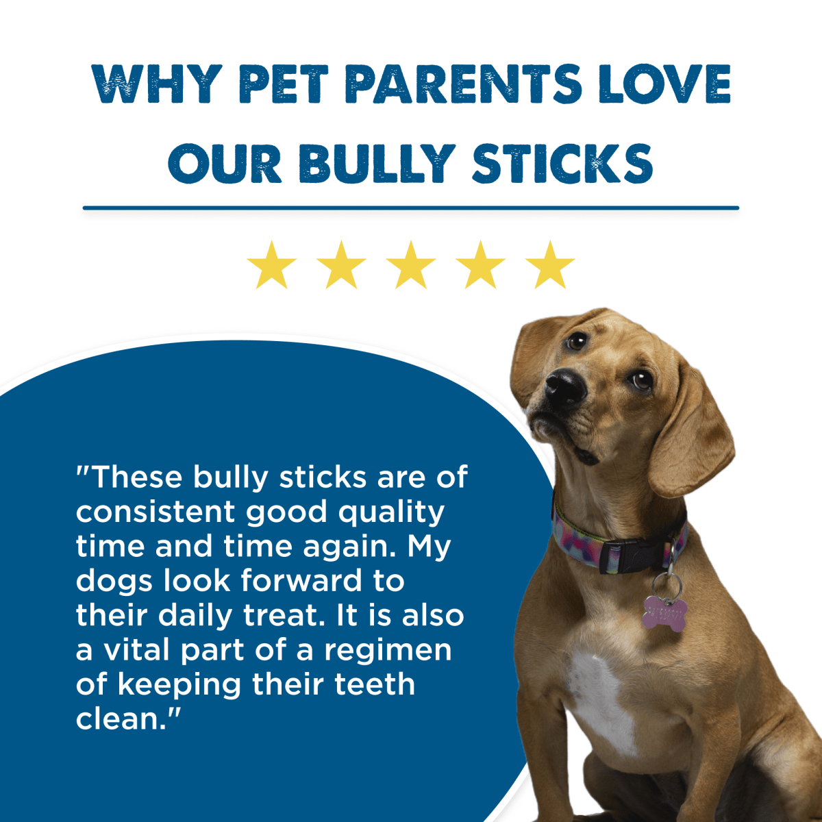 Why pet parents love our Best Bully Sticks&#39; 6-Inch Standard Odor-Free Bully Sticks.