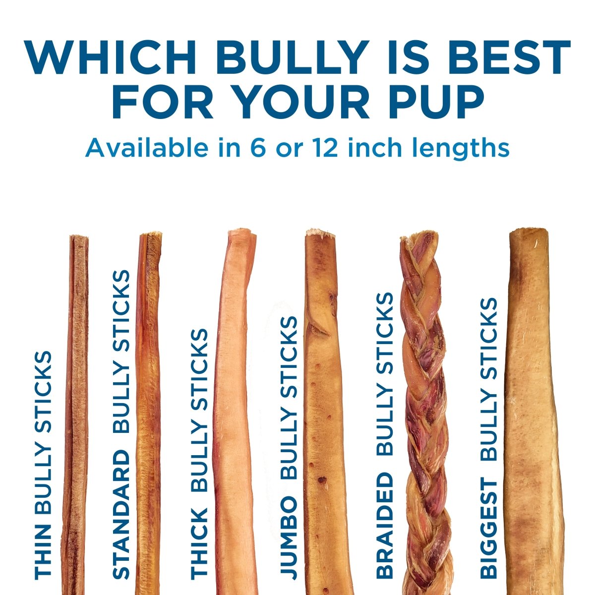 which bully is best for your pup