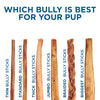 Which 6-Inch Thick Odor-Free Bully Stick from Best Bully Sticks is best for your pup?