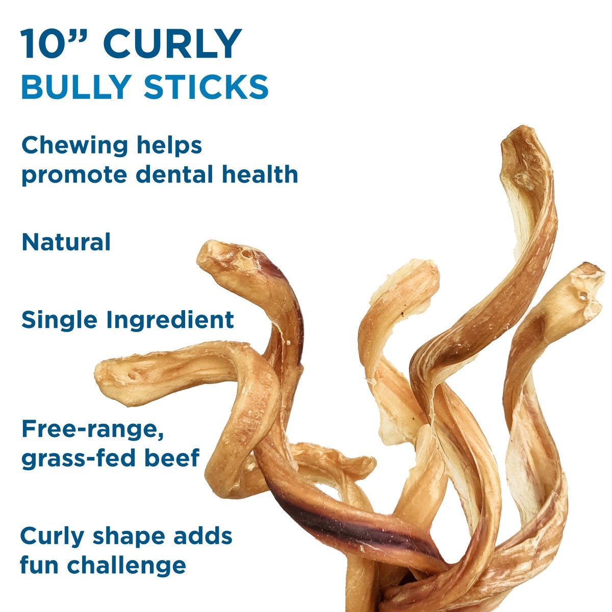 Best Bully Sticks 7 to 10-Inch Curly Bully Stick is a natural, single-ingredient dog chew made from free-range, grass-fed beef, high in protein and designed with a curly shape to help promote dental health.