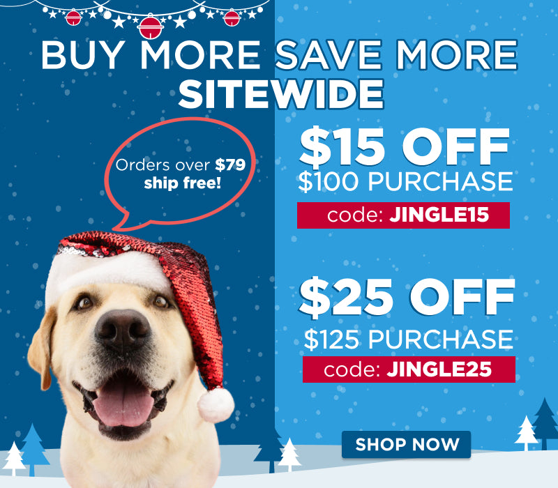 dog in santa hat - buy more save more sitewide