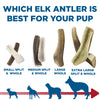 Which XL Split Elk Antler (1 count) from Best Bully Sticks is best for your dog?