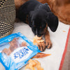 Dachshund chewing on a bag of Best Bully Sticks Hickory Smoked Chicken Jerky.