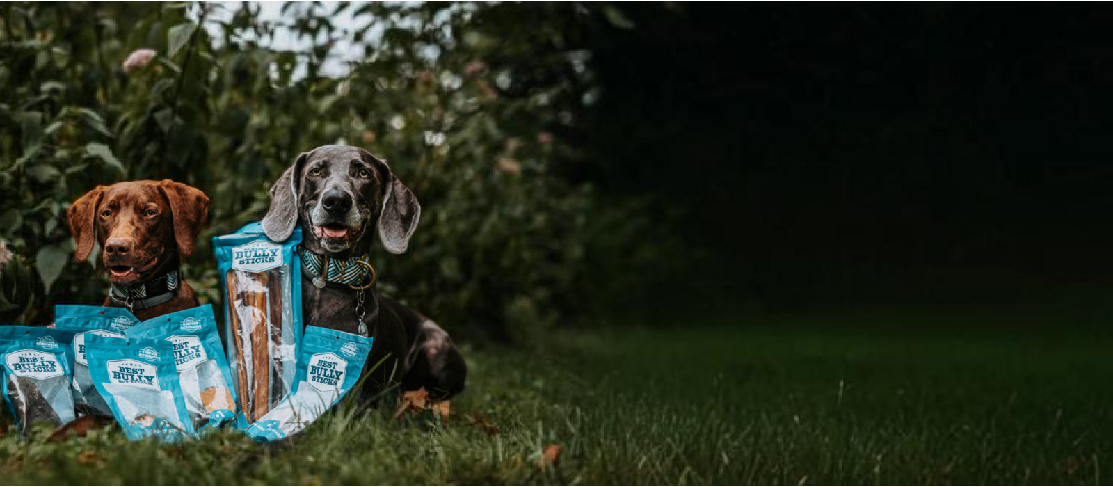 Easily Digestible Dog Chews