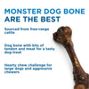 The Best Bully Sticks Monster Femur Bone are the best.