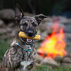A dog chewing on a Large Hickory Smoked Yak Cheese (2 pack) from Best Bully Sticks.