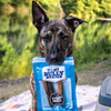 A dog sitting on a blanket holding a bag of hickory smoked chew sticks from the Best Bully Sticks Hickory Smoked Sampler Box.
