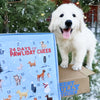 Holiday Dog Treat Advent Calendar packed with 24 days of Best Bully Sticks cheer.