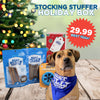 Best Bully Sticks&#39; Dog-themed Holiday Stocking Stuffer Treat Box.