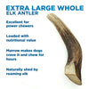 Best Bully Sticks&#39; XL Whole Antler (1 count).