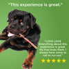 A rottweiler holding a Best Bully Sticks 12-Inch Thin Bully Stick in its mouth against a green background with quotes praising an experience.