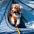 A dog in a tent was chewing on a Best Bully Sticks 6-Inch Standard Odor-Free Bully Stick.