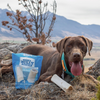 A brown dog laying on top of a mountain with a pack of Best Bully Sticks&#39; Bully Stuffed Shin Bone (3 Pack) dog treats.