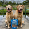 Two golden retrievers sit on a wooden bridge next to a bag of Best Bully Sticks Joint Jerky Bites.