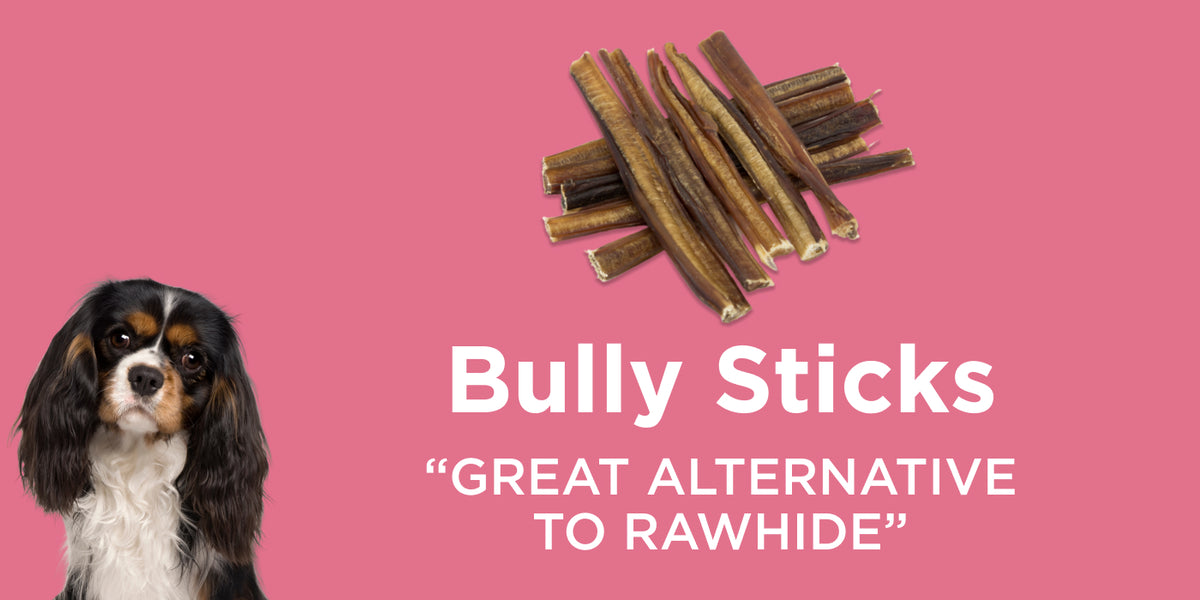 AllNatural, SingleIngredient Dog Chews Best Bully Sticks