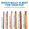 Best Bully Sticks displays six upright bully sticks, including the 6-Inch Standard Bully Stick, made from grass-fed beef in sizes thin to biggest, with text listing options for these durable dog chews.