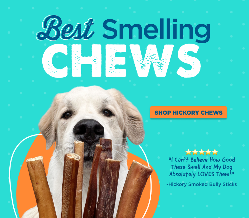 All Natural Single Ingredient Dog Chews Best Bully Sticks