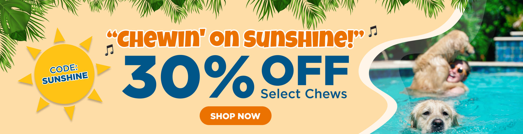 BEST DOG DEALS