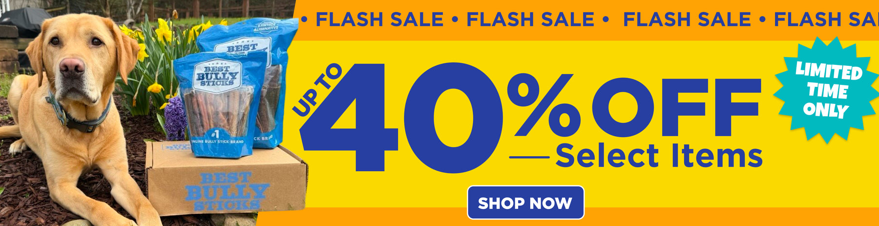 FLASH