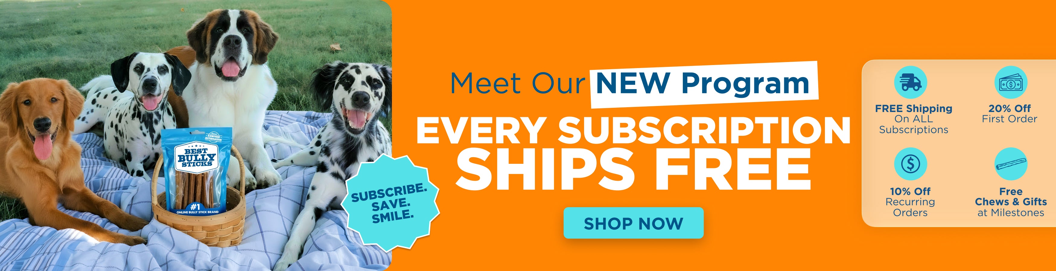 new subscription program with dogs and promotional text on an orange background