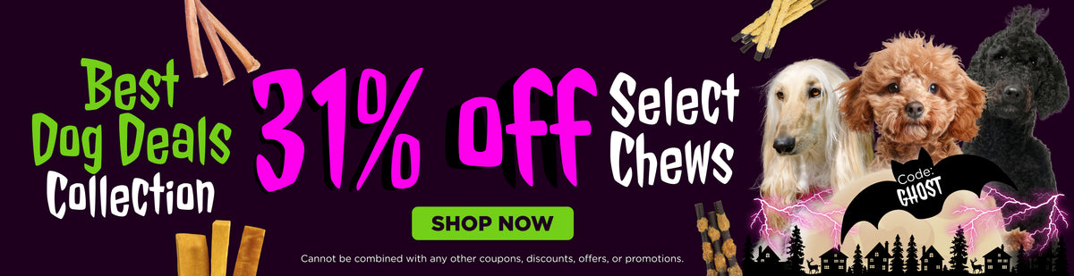 best dog deals
