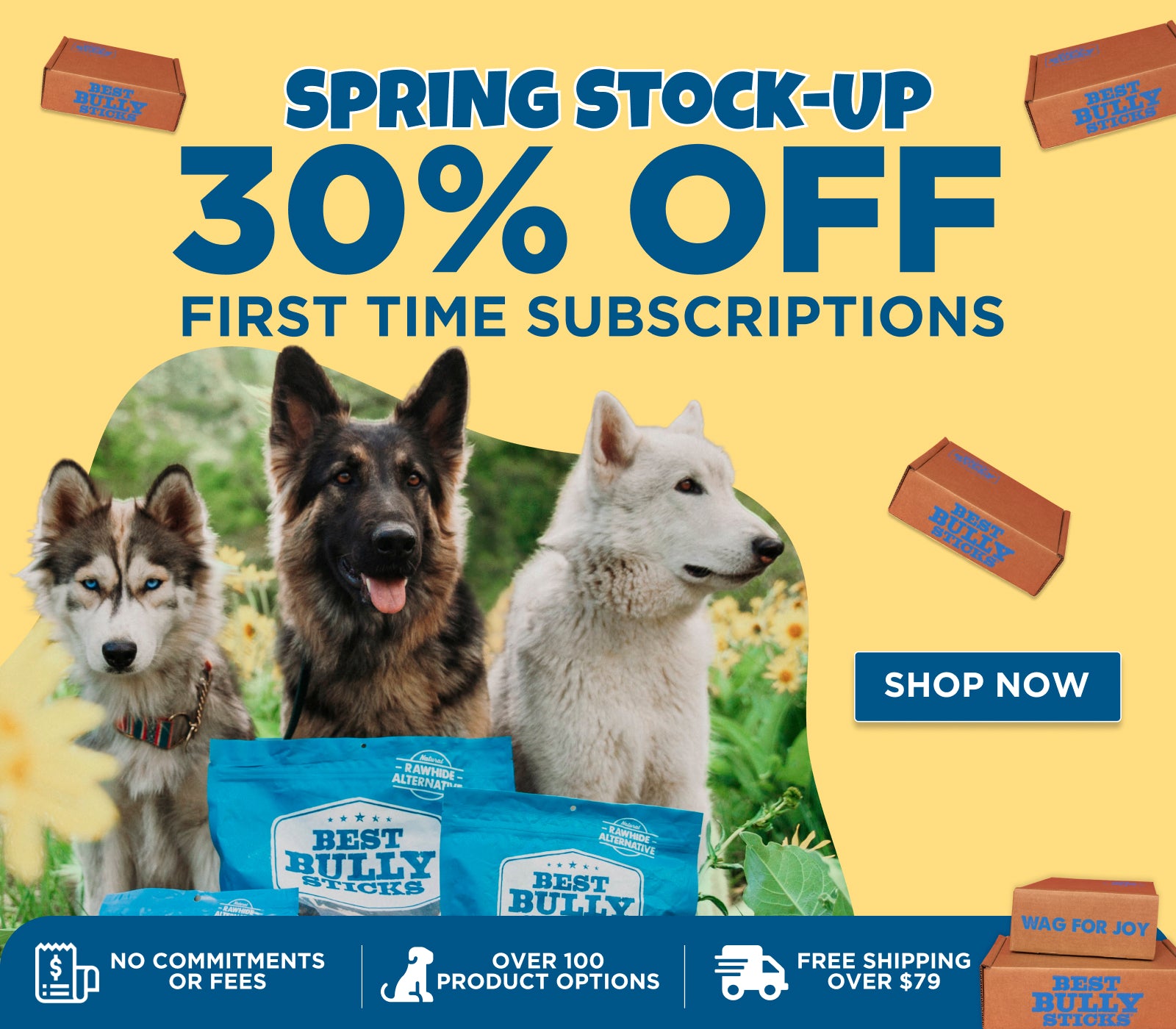 spring stock up 30% off first time subscriptions
