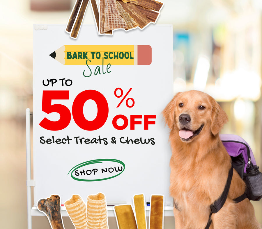 bark to school