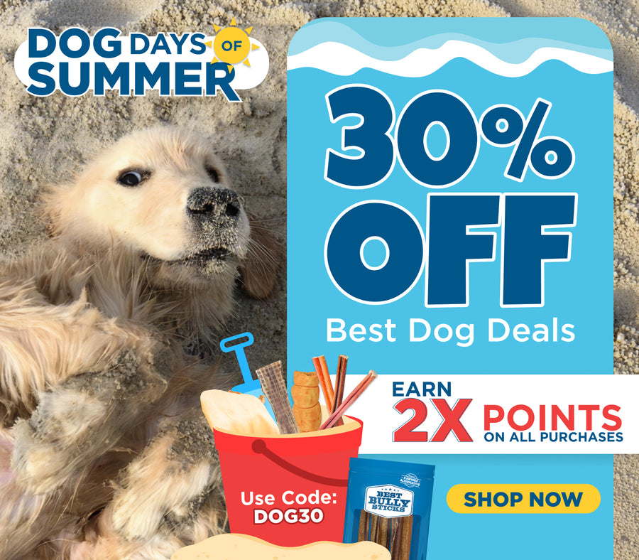 dog days