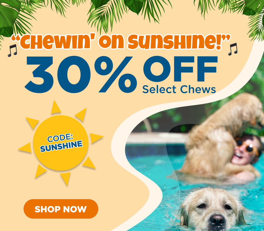 BEST DOG DEALS