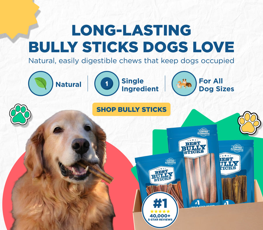 BULLY EVERGREEN