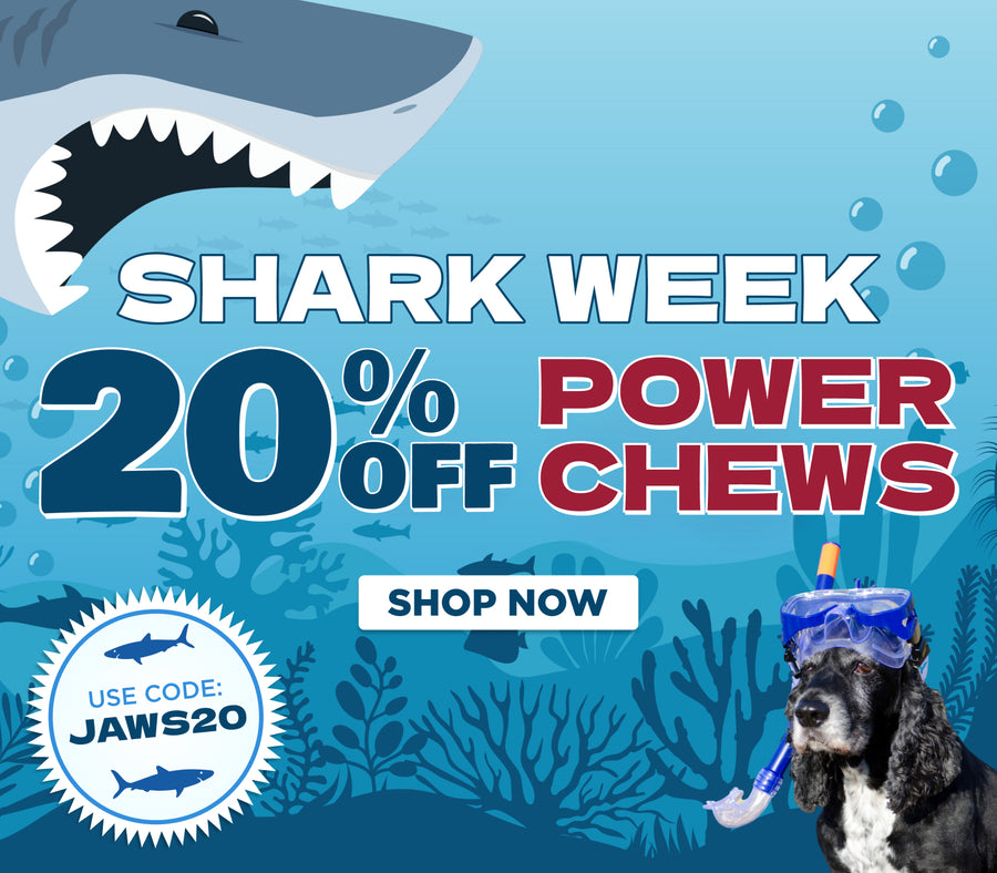 SHARK WEEK