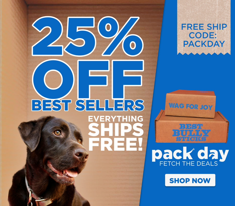Pack Day