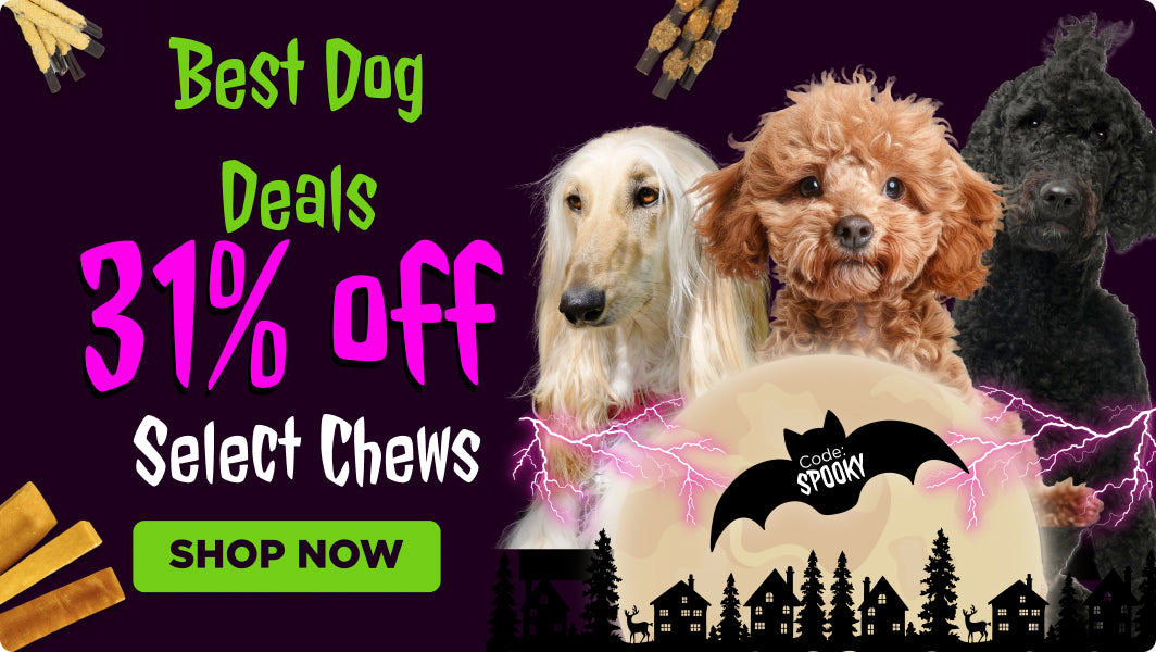 31% OFF CODE: SPOOKY Promotional banner with dogs and Halloween-themed text on a dark background