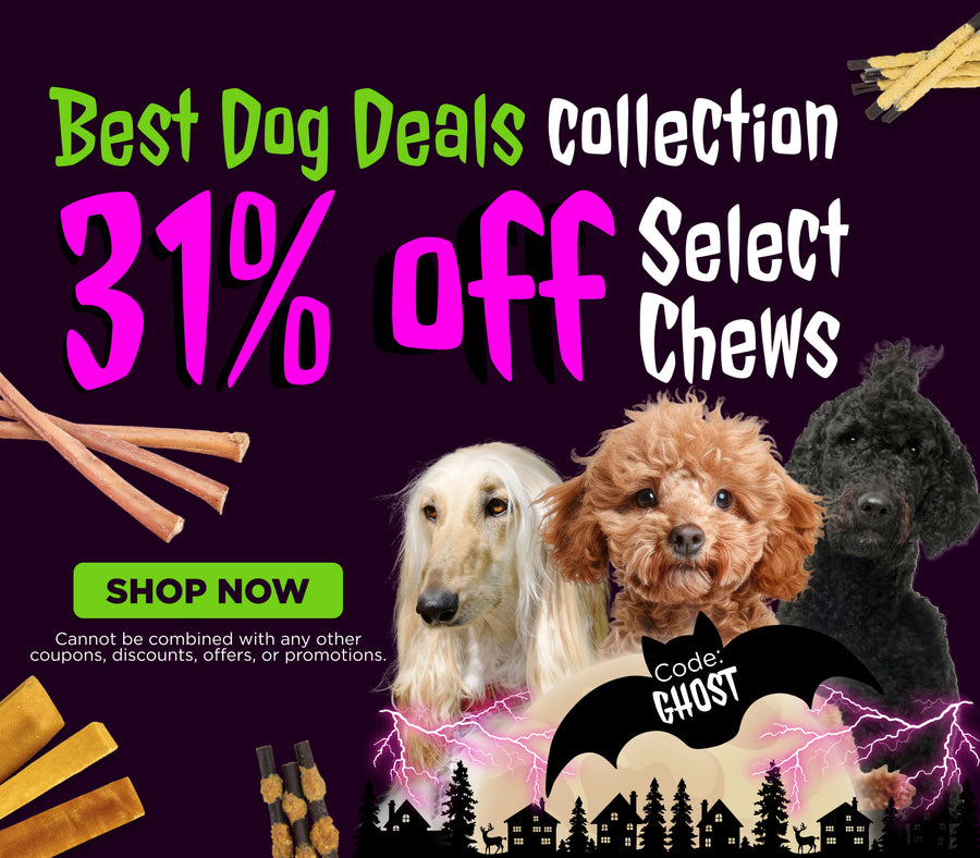 best dog deals
