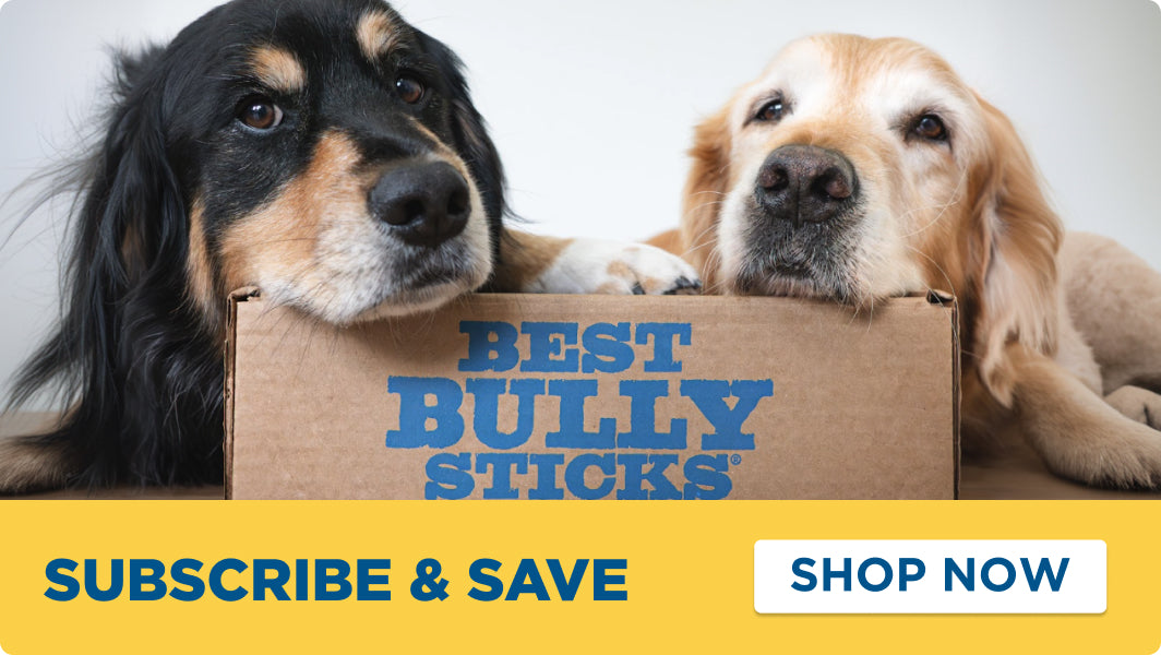 Two dogs, one black and tan and one golden retriever, resting behind a cardboard box printed with 'BEST BULLY STICKS' in blue. A yellow banner at the bottom reads 'SUBSCRIBE & SAVE' and 'SHOP NOW'.