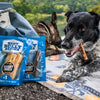 A dog is sitting on a blanket next to a bag of Best Bully Sticks 6-Inch Hickory Smoked Bully Sticks.