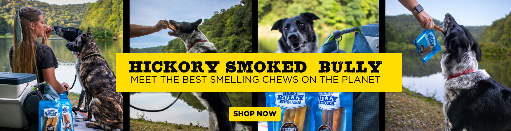 hickory smoked bully sticks with images of dogs outside chewing