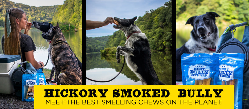 Photos of dogs outside with girl eating Hickory Smoked Bully
