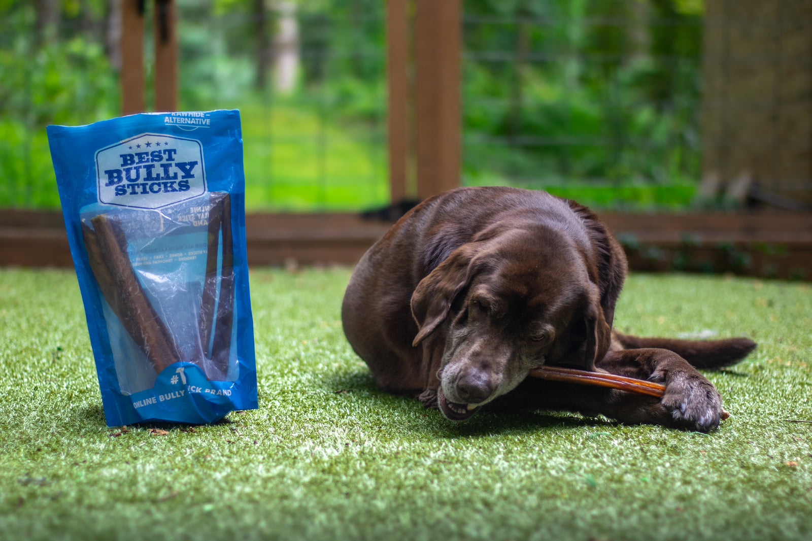 Thick Dog Chews